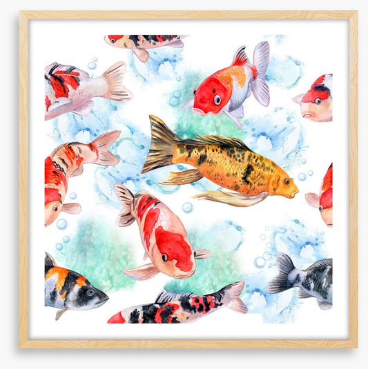 Swimming with the koi