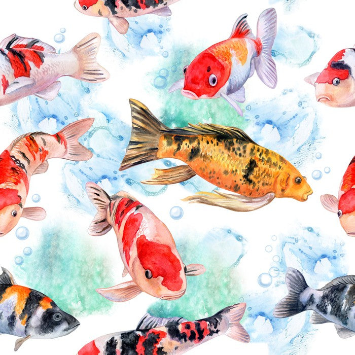 Swimming with the koi