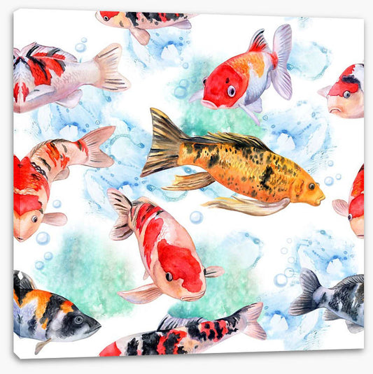 Swimming with the koi