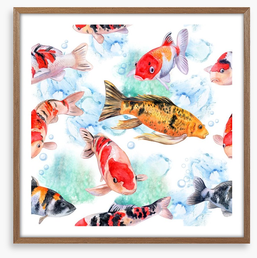 Swimming with the koi