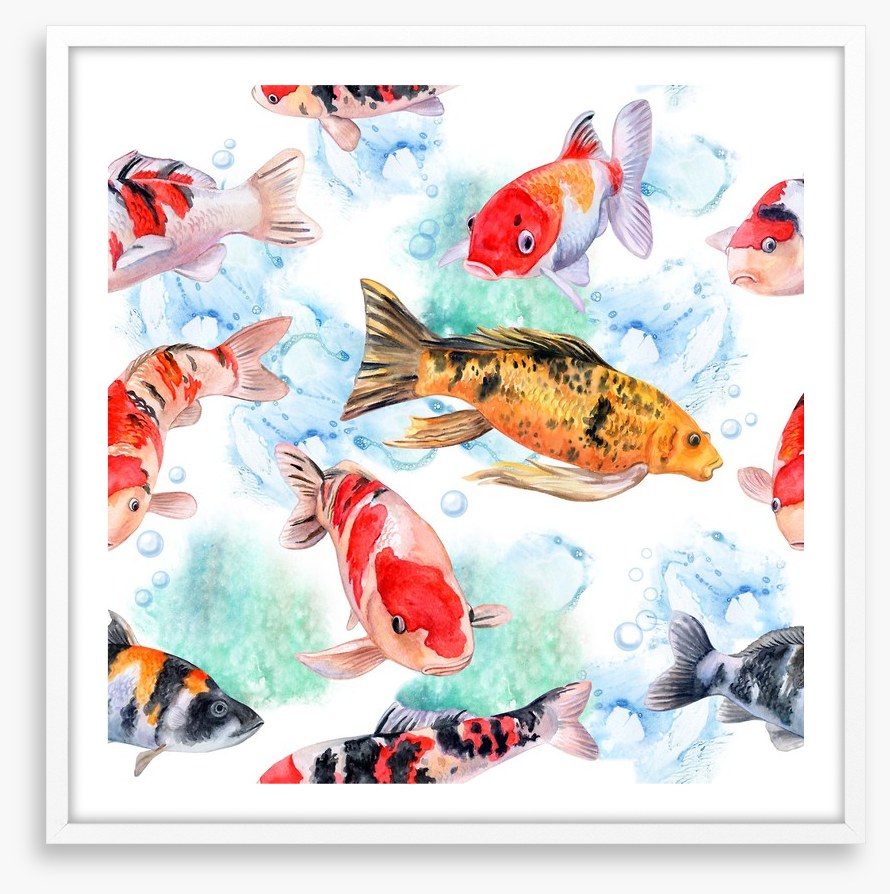 Swimming with the koi