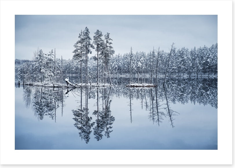 Frozen reflections