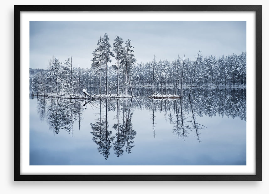 Frozen reflections