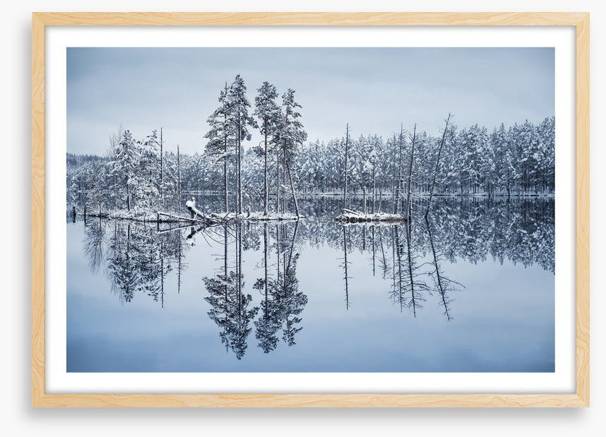 Frozen reflections