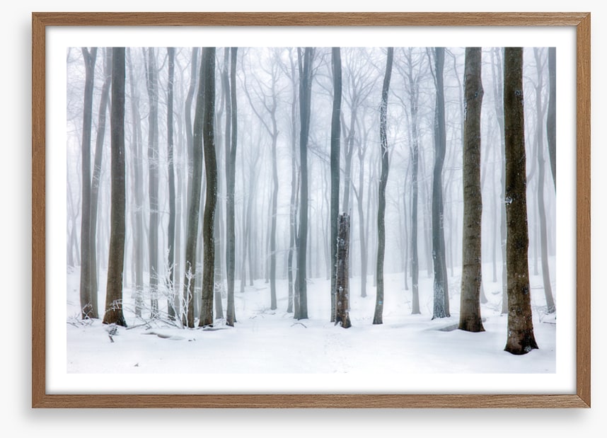 Snow forest stump