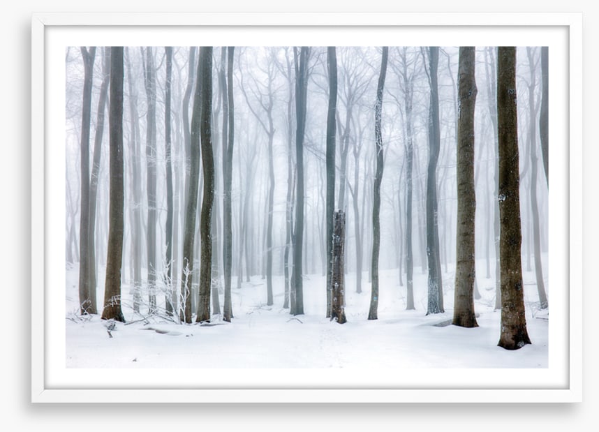Snow forest stump