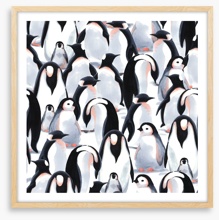 Penguin parade