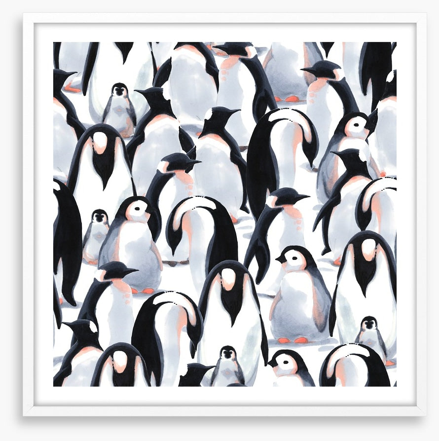 Penguin parade