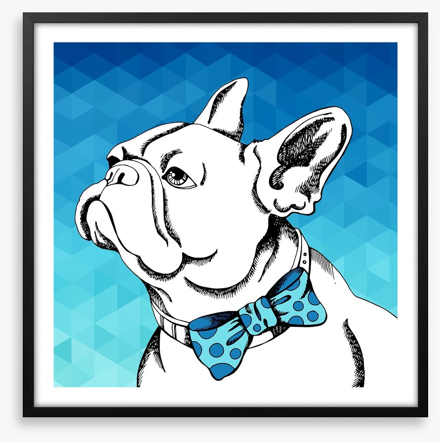 Bulldog bowtie