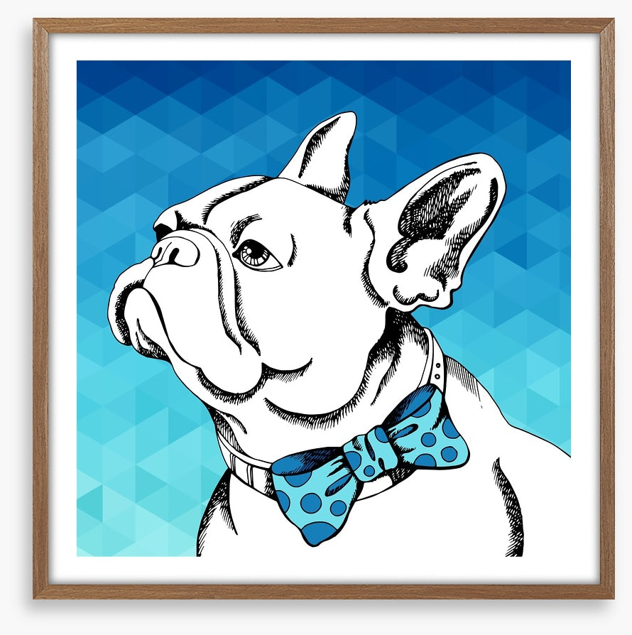 Bulldog bowtie
