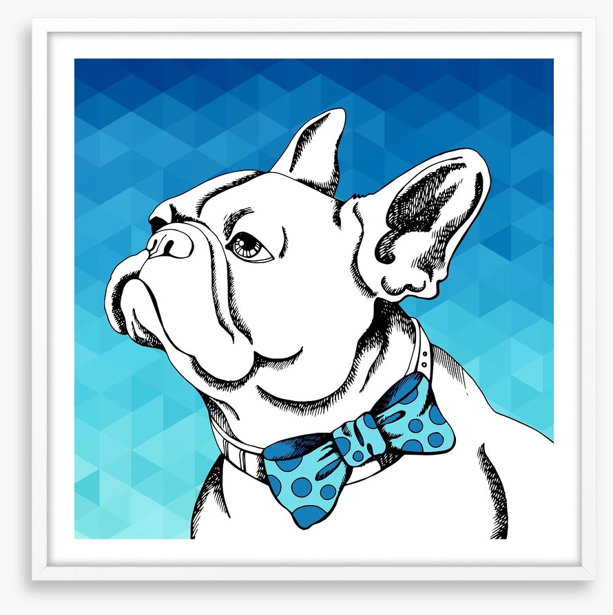 Bulldog bowtie