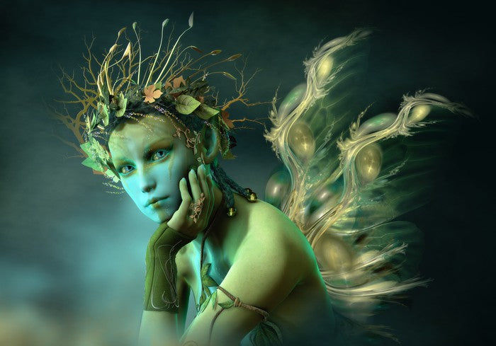 The woodland sylph