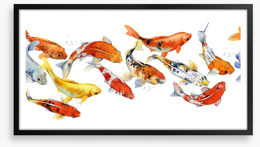 Follow the goldfish