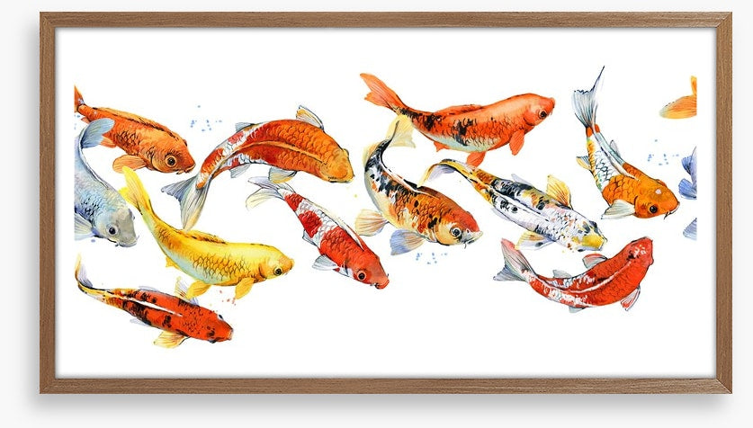 Follow the goldfish