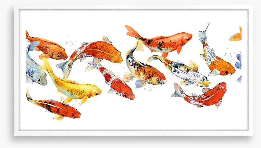 Follow the goldfish