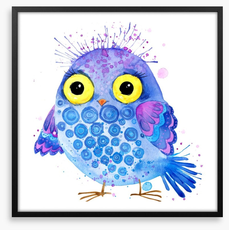 Little blue owl