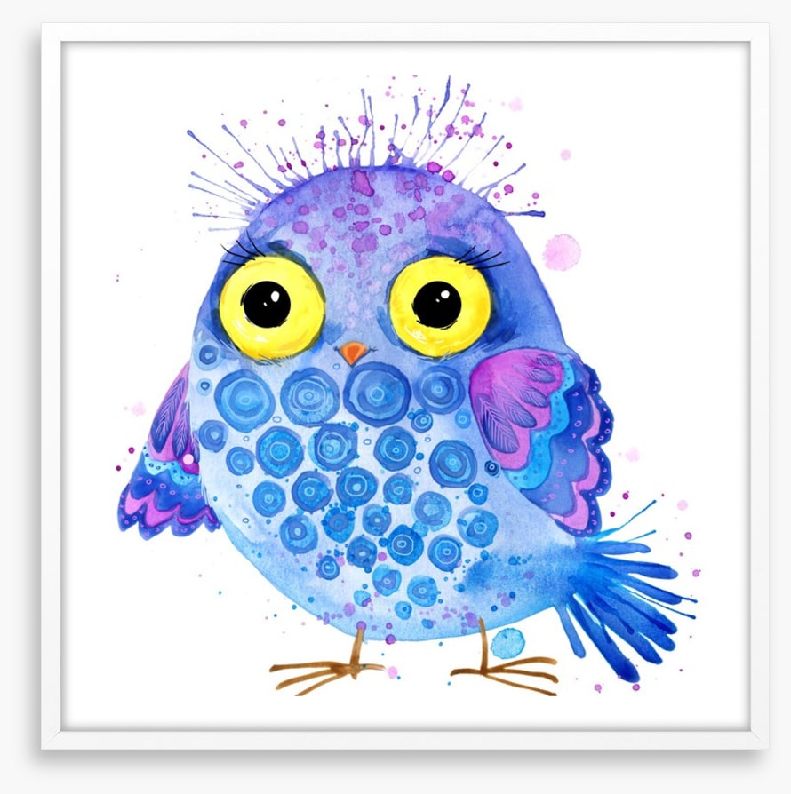 Little blue owl