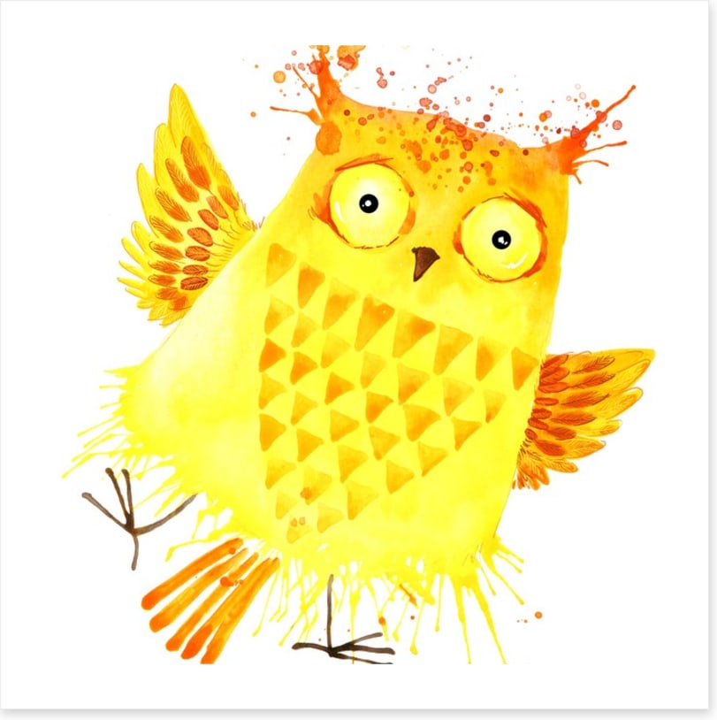 Owls