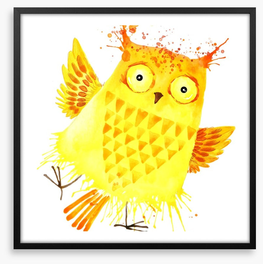 Owls