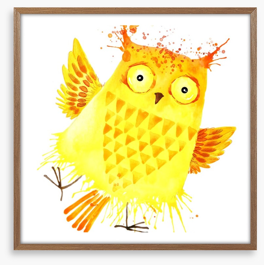 Owls
