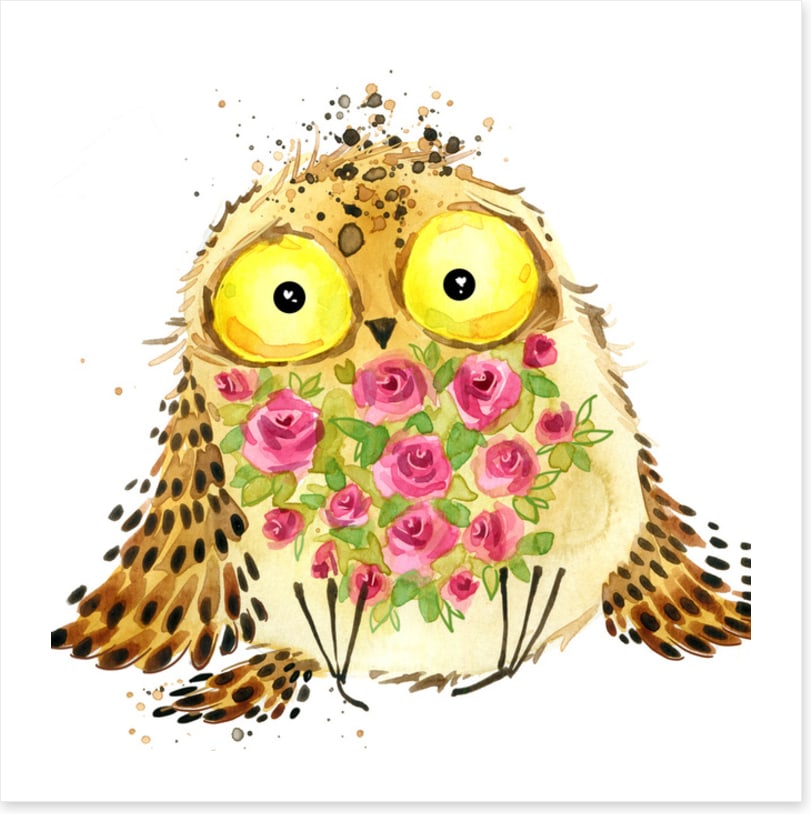 Owls