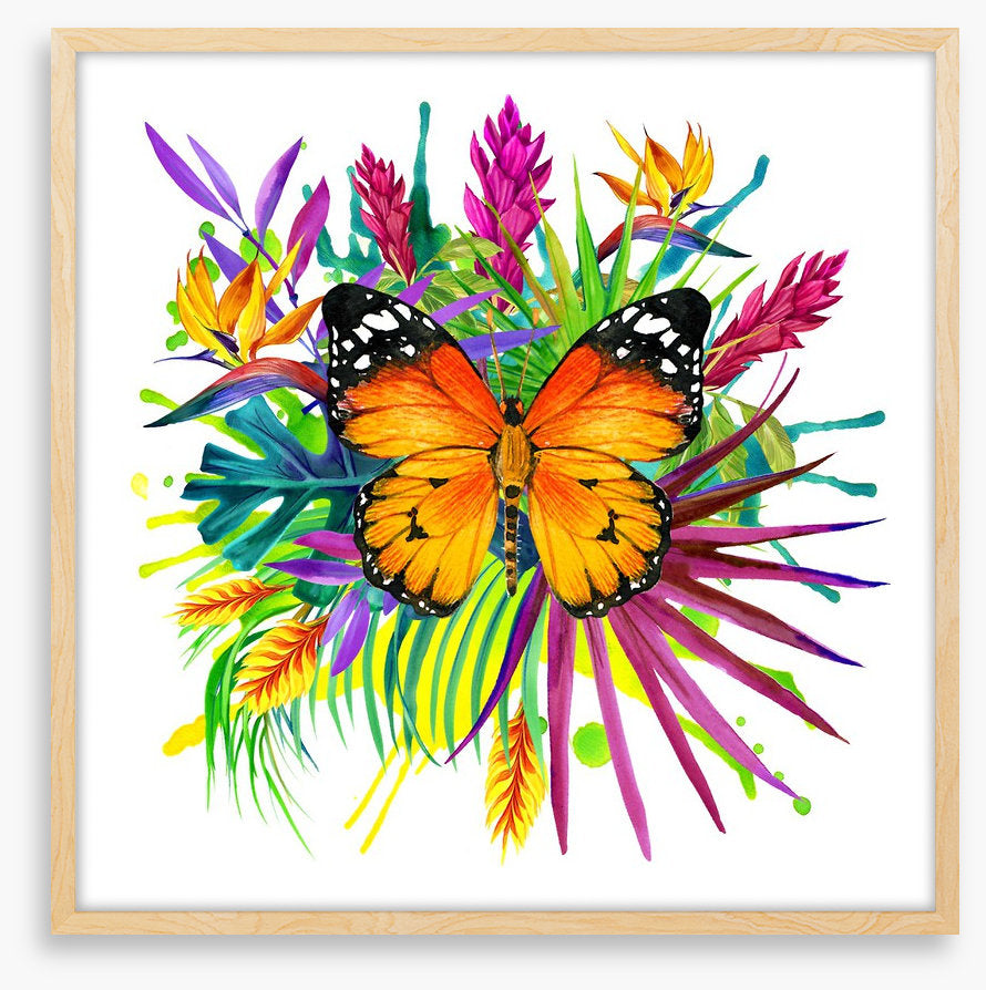 Midsummer monarch