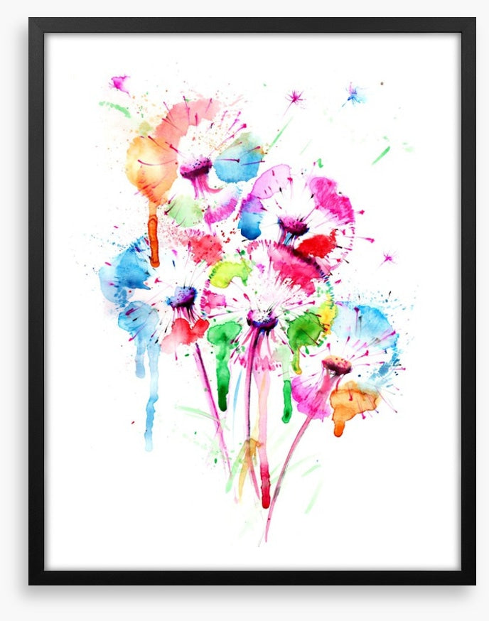Dandelion splash
