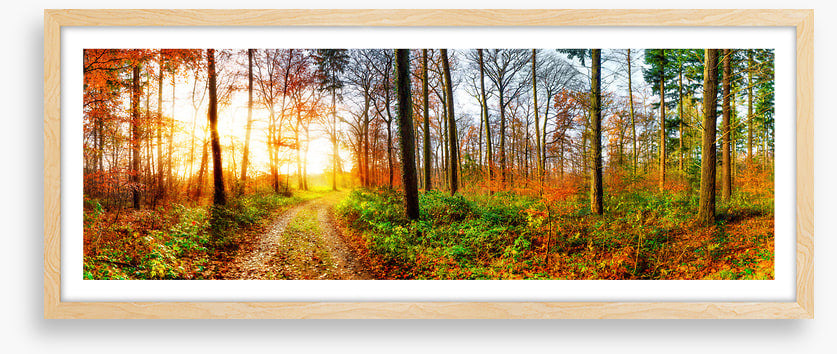 The autumn track