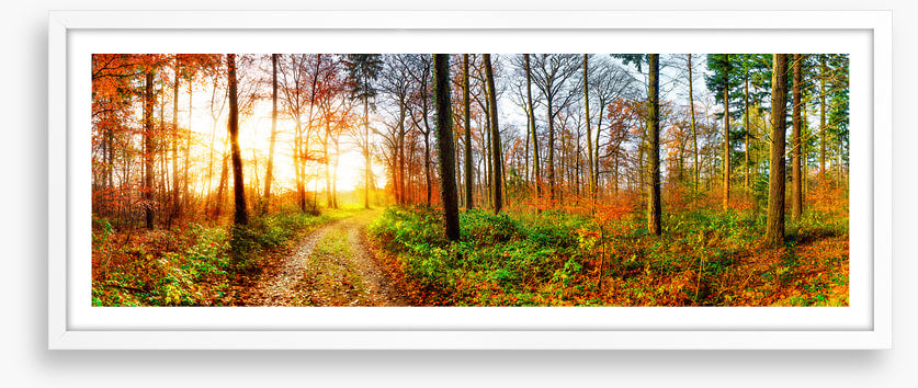The autumn track
