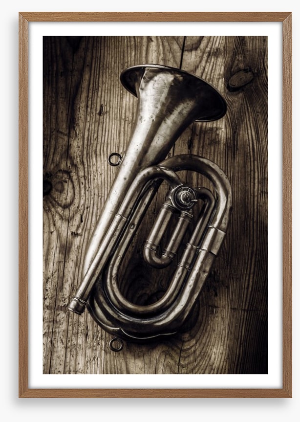 The old bugle