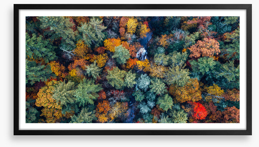 Above autumn