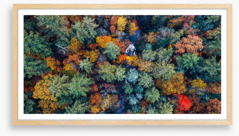 Above autumn
