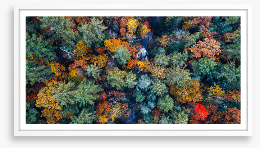 Above autumn