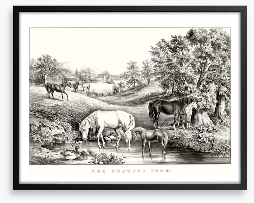 The grazing farm