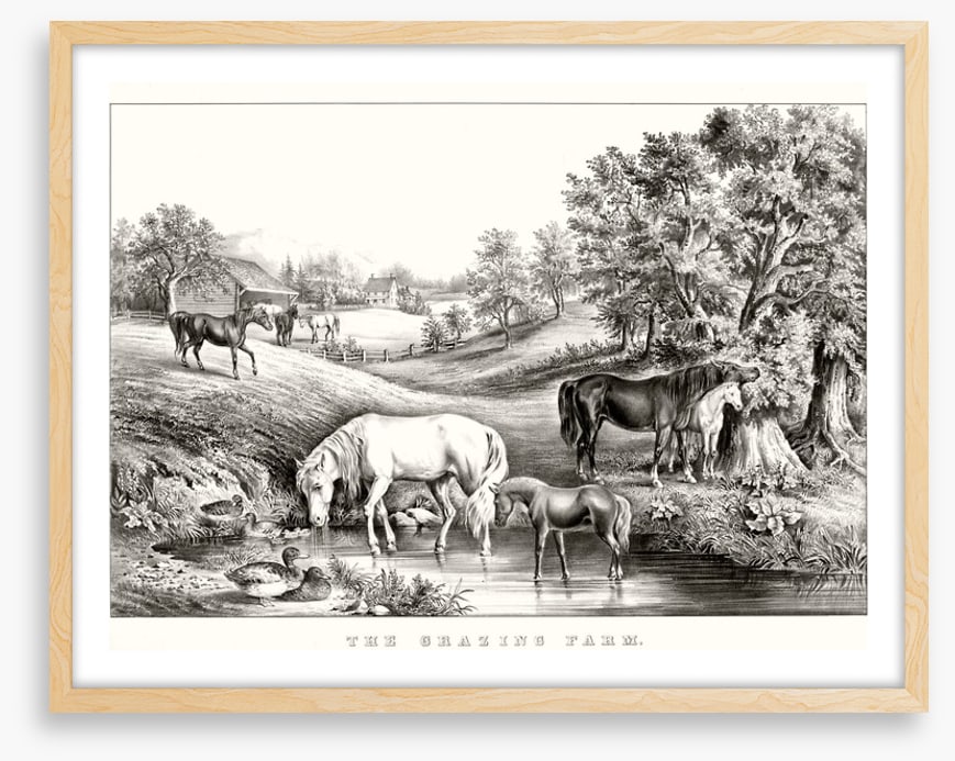 The grazing farm