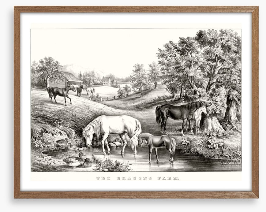 The grazing farm