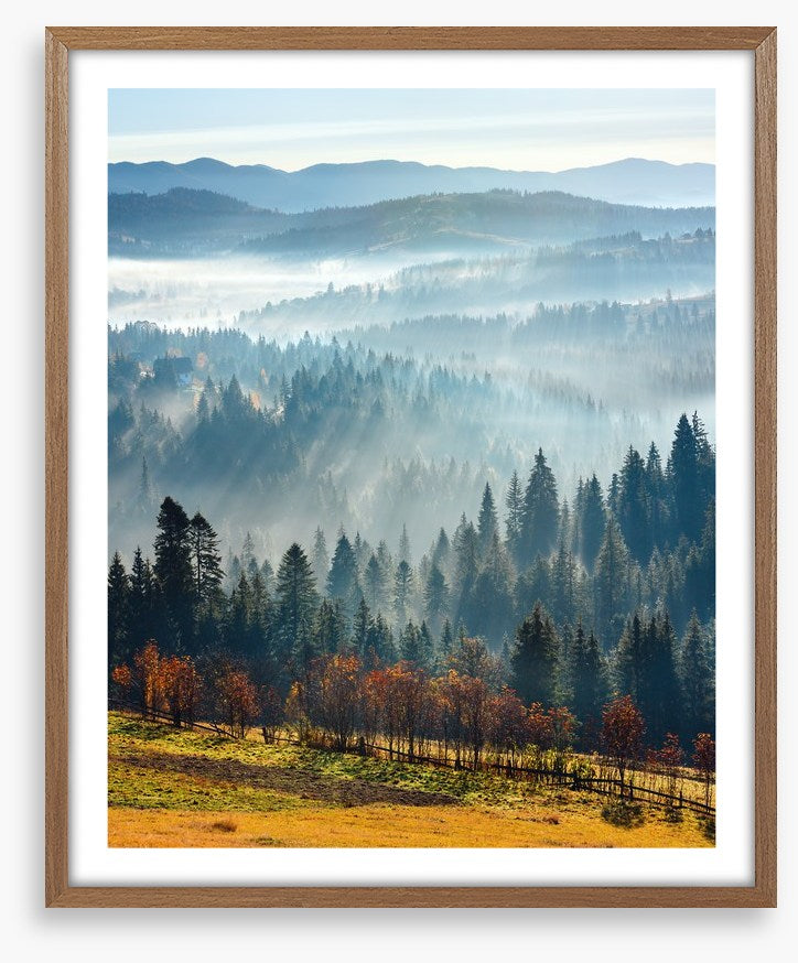 Golden foothills