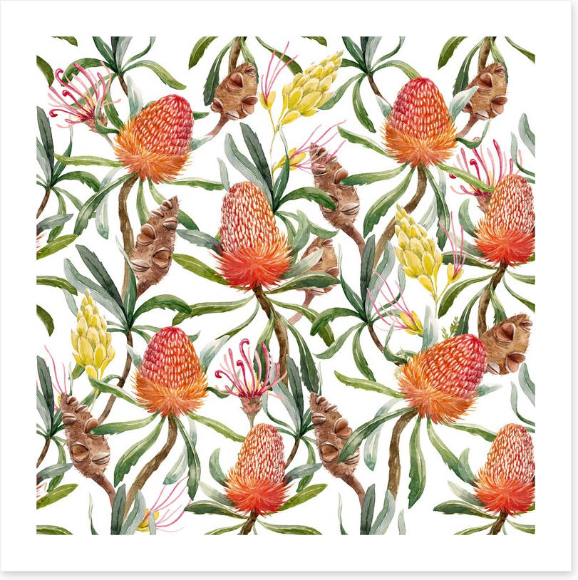 Banksia beauty