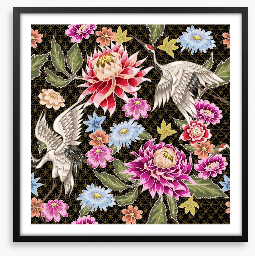 Chrysanthemum cranes
