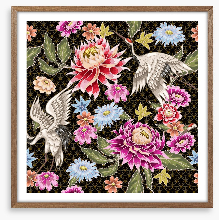 Chrysanthemum cranes
