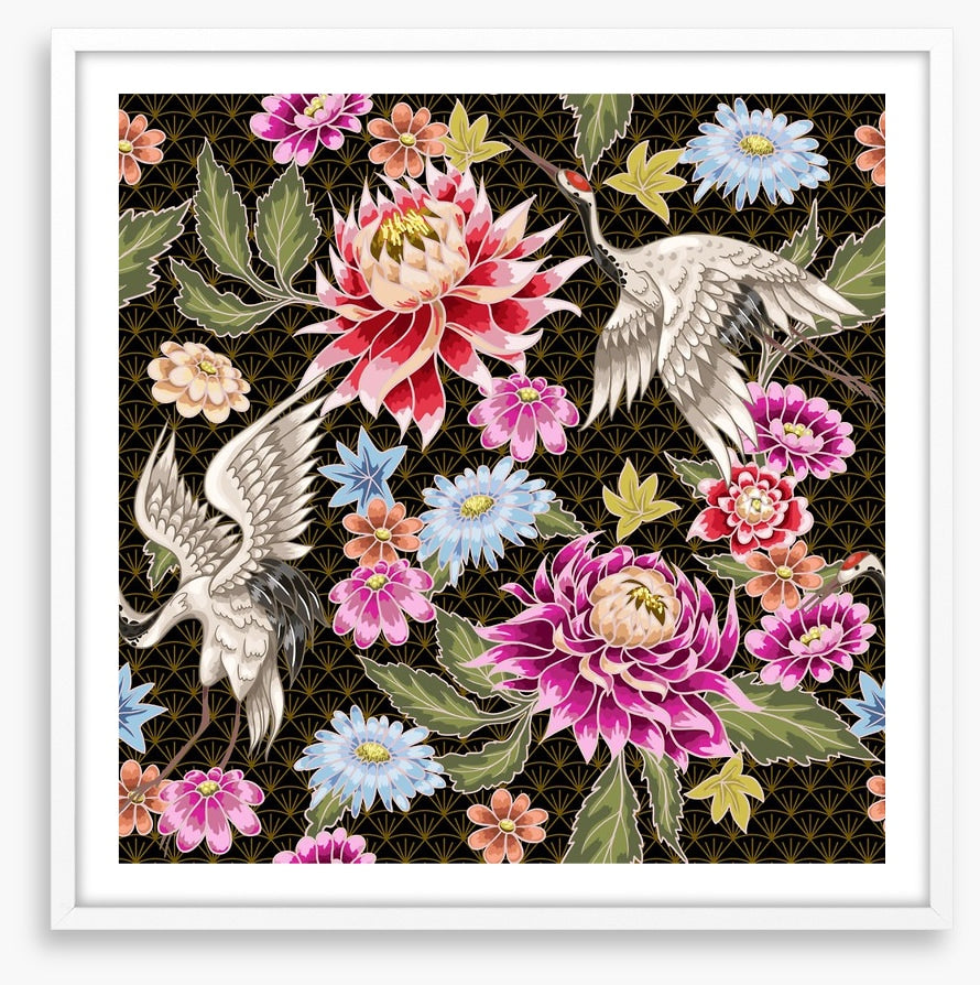 Chrysanthemum cranes