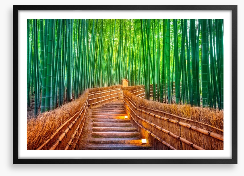 The bamboo bridge