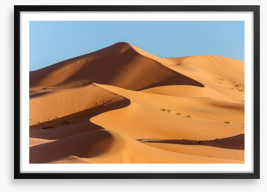 Desert