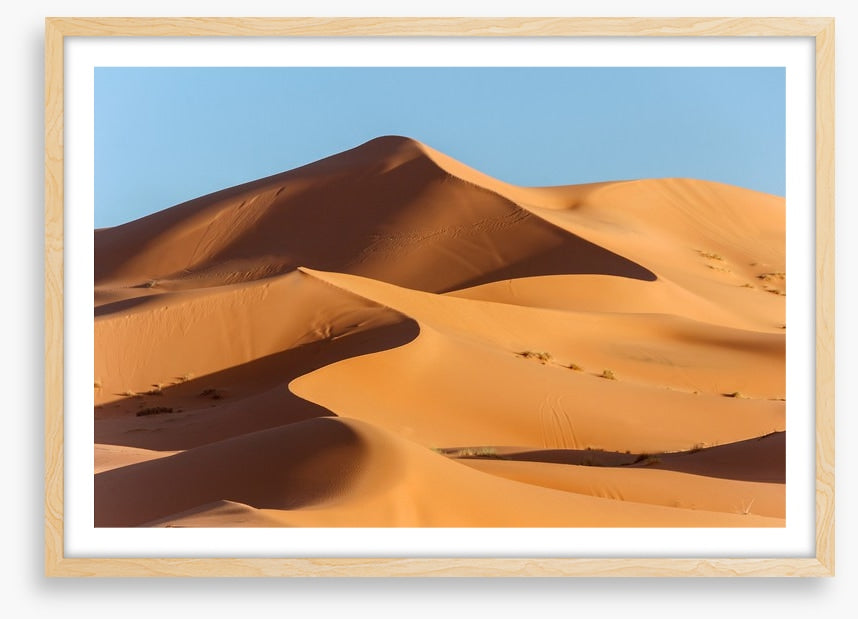 Desert