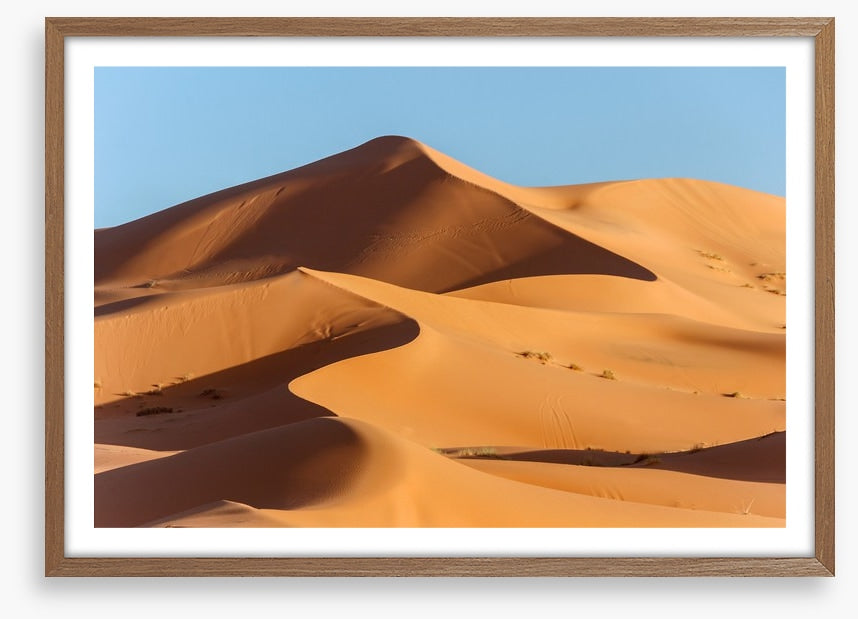 Desert