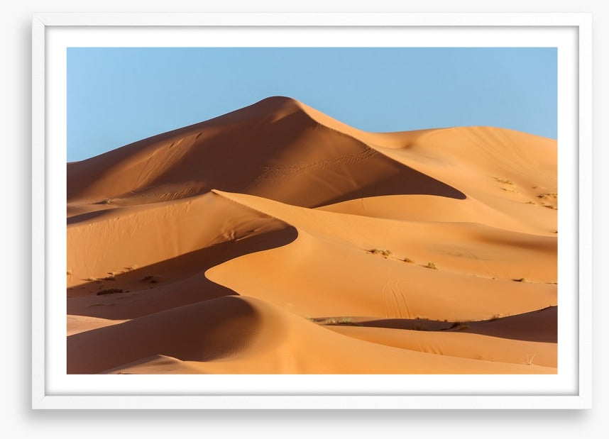 Desert