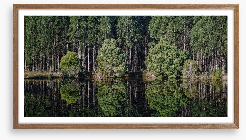 Tasmania