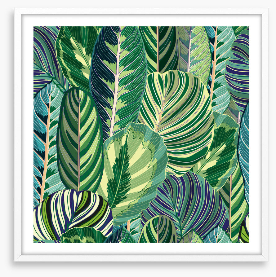 Variegated greens