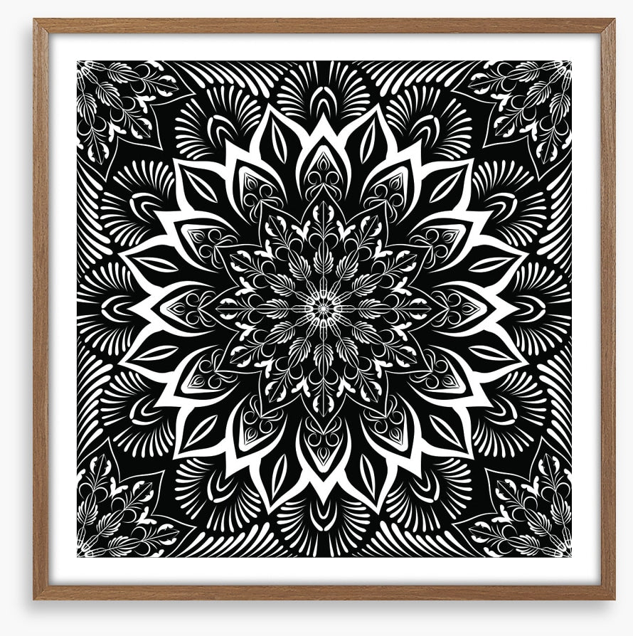 Midnight mandala