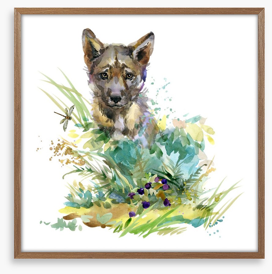 Wolf cub in the grass